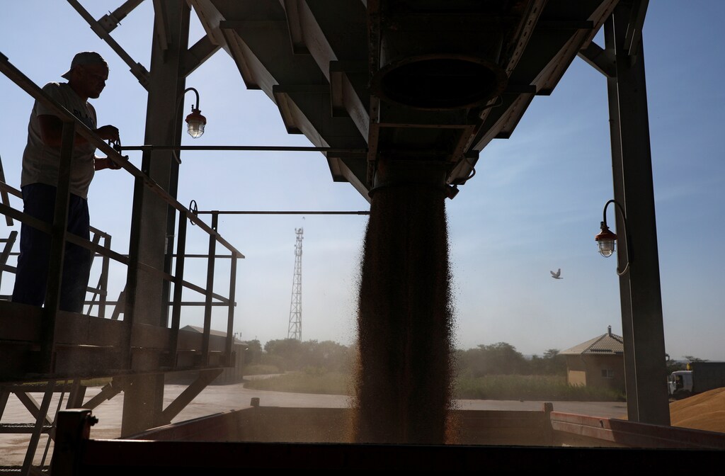 An employee controls the process of unloading newly harvested wheat at a grain store near the village of Suvorovskaya in Stavropol Region, Russia July 17, 2021. Picture taken July 17, 2021. REUTERS/Eduard Korniyenko