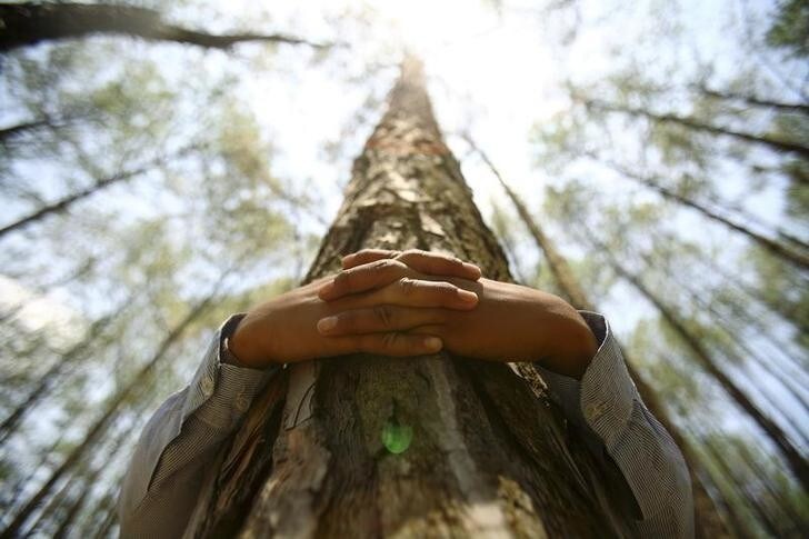 A boy hugs a tree trunk as he prepares to take part in an attempt to create a Guinness World Record for the most number of people hugging trees for two minutes in Kathmandu June 5, 2011. 879 people took part in the event, which was held on World Environment Day to spread the message of saving the environment.REUTERS/Navesh Chitrakar (NEPAL - Tags: SOCIETY ENVIRONMENT IMAGES OF THE DAY)
