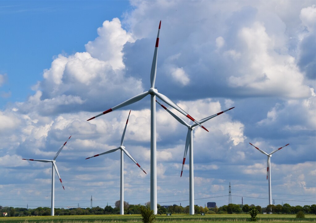 Wind turbines in a field creating cleaner energy.