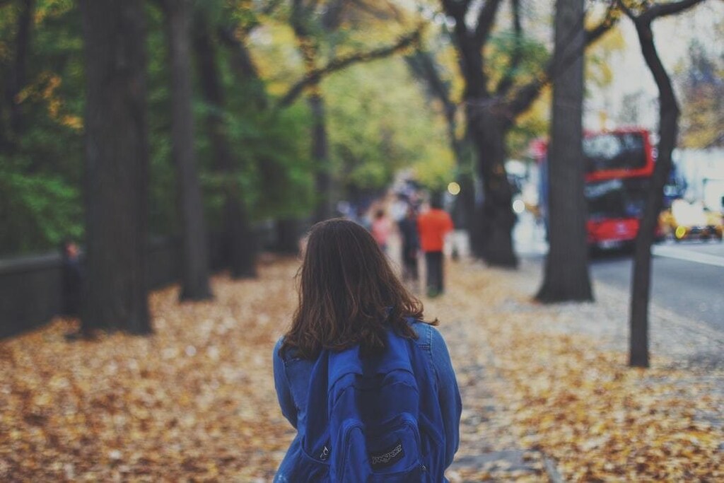 Trees cities wellbeing mental health environment