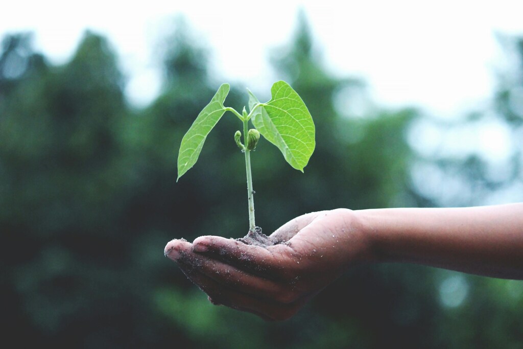 Multilateral development banks (MDBs) are ramping up climate action, with the World Bank Group actively leading these initiatives.