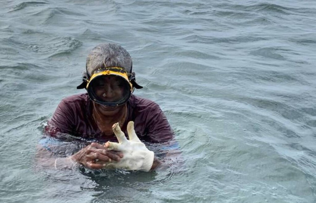 A seaweed harvester off the coast of Ramanathapuram, India, March 8, 2020.