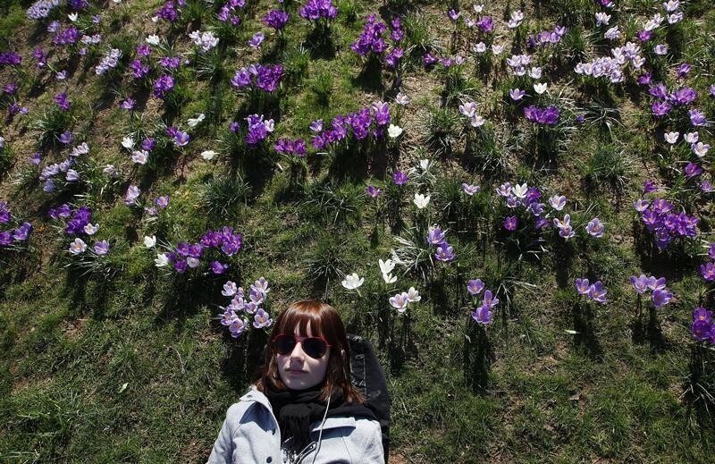 A tourist lies on the grass, surrounded by spring flowers in a park in central London March 16, 2010. REUTERS/Stefan Wermuth (BRITAIN - Tags: ENVIRONMENT) - LM1E63G15D601