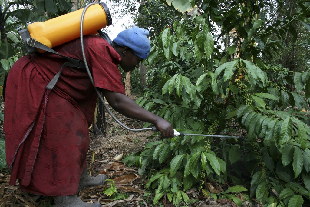 Hawa Nakawungu, a coffee farmer sprays her trees with pesticide on her farm near Uganda's capital Kampala, July 18, 2009. Nakawungu cut a space-age figure as she paced around her tiny coffee farm, squirting pesticide from a yellow pump mounted on her back. REUTERS/Hereward Holland (UGANDA ENVIRONMENT FOOD) - GM1E597186D01
