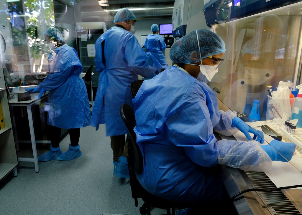 World TB Day: Researchers studying the BCG vaccine for tuberculosis test samples in a laboratory.