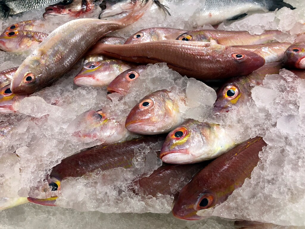 Sultan Ibrahim fish are displayed at a mini fish market in Dubai, United Arab Emirates November 2, 2018. REUTERS/Ahmed Jadallah - RC1A166F4000