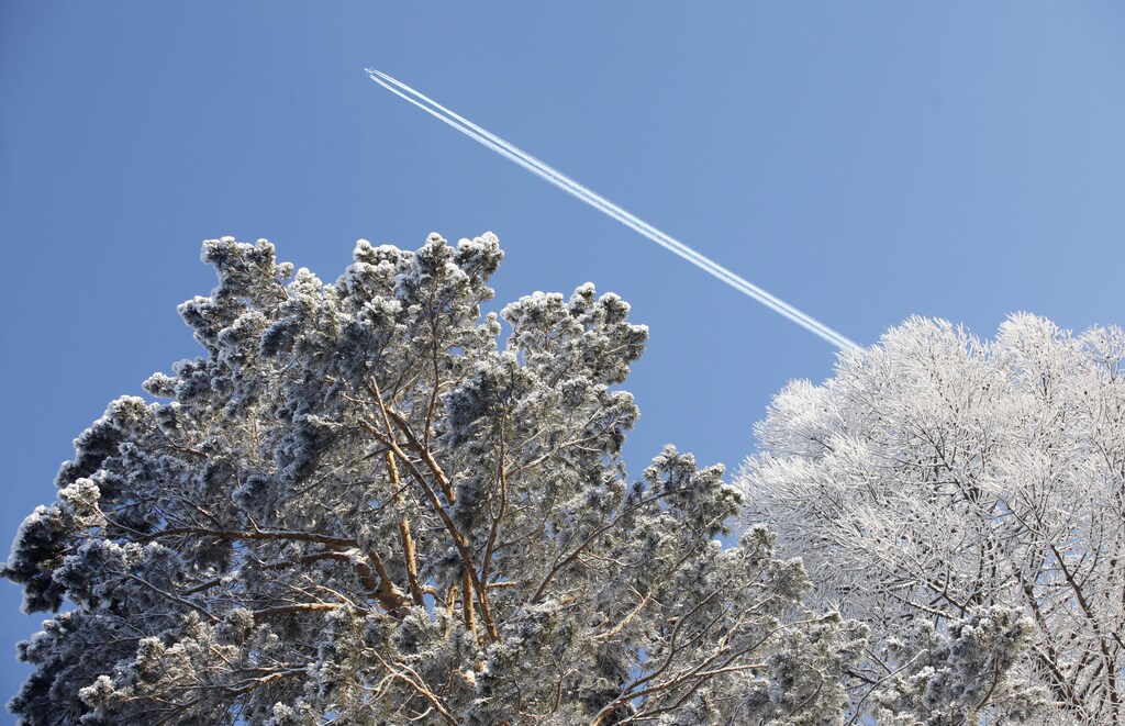 An aircraft flies above Siberia outside the city of Krasnoyarsk, January 6, 2011. The air temperature dropped to minus 28 degrees Celsius (-18.4 degrees Fahrenheit), according to local weather reports. REUTERS/Ilya Naymushin (RUSSIA - Tags: ENVIRONMENT TRANSPORT SOCIETY) - GM1E7161J1T01