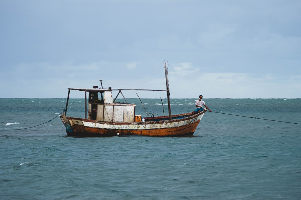 The oceans will now be protected thanks to the UN High Seas Treaty.