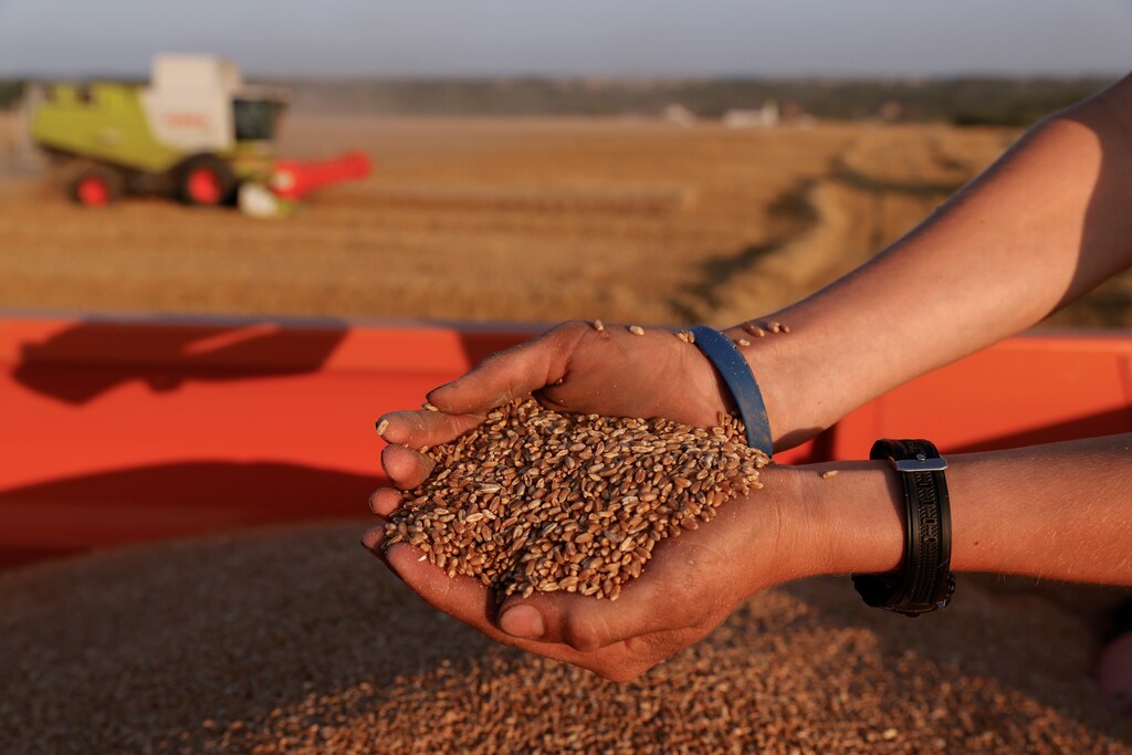 Engineered crops could be used to enhance photosynthesis, sequestering more carbon from the atmosphere, locking it into the ground.