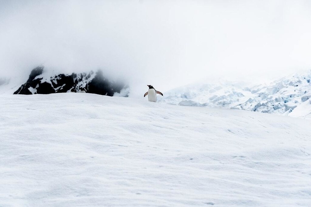 Melting-of-global-ice-sheets-are-serious- consequences of climate change