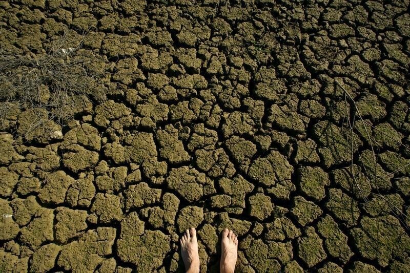 A parched pond is seen in Santiponce, southern Spain January 19, 2006. Cloudless skies over much of Spain on Friday may cheer tourists and hikers ahead of the weekend, but farmers are deeply concerned as the country faces the second year of what could be a prolonged drought. Rain in recent weeks, even if way below the historical average for the month, has been enough to moisten the soil for sowing winter wheat and barley, which need no irrigation. Picture taken January 19, 2006. REUTERS/Marcelo del Pozo - RP3DSFECEWAA