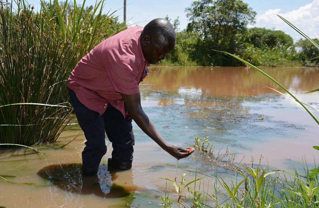 George Oliech, a researcher from the International Centre of Insect Physiology and Ecology (ICIPE), checks the quality of the swamp water in Kamgan village of Nyakach, Kenya May 12, 2020. Picture taken May 12, 2020. REUTERS/Edwin Waita - RC22RG94I59Y