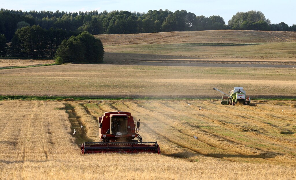 Grain combine harvesters reap a field near the village of Zagorie, Belarus, August 7, 2017. REUTERS/Vasily Fedosenko - RC11AF06BF00
