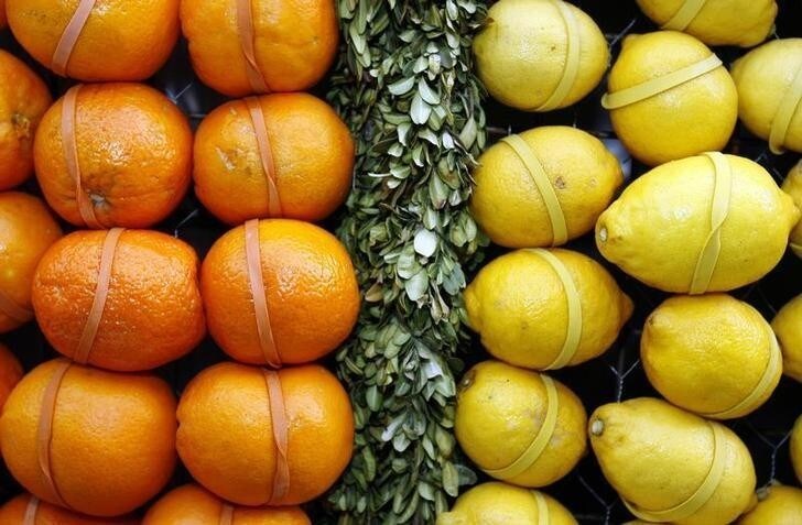 A view of oranges and lemons is seen during the 74th Lemon Festival in Menton, southeastern France, February 17,2007. Some 140 metric tonnes of lemons and oranges are used in the festival, held together with 500,000 elastic bands. REUTERS/Eric Gaillard (FRANCE)