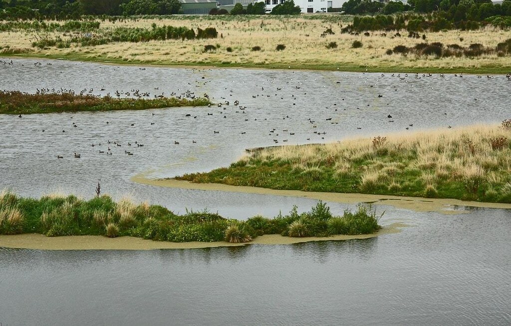 Image of a wetland