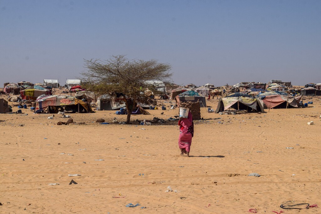 Climate change and nature degradation are quickly becoming accepted as security issues.