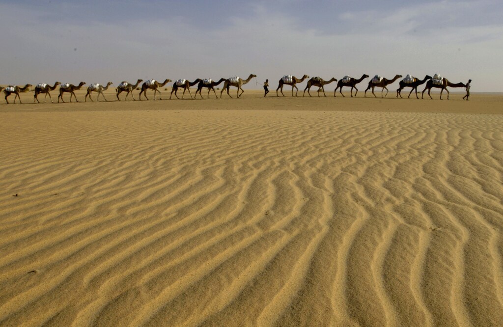 A caravan of camels loaded with sacks of raw salt travels across the desert near Tichit, Mauritania December 5, 2006. Caught between an encroaching sea of sand and a towering rocky plateau, Tichit has been a staging post for more than nine centuries for camel caravans snaking across the Sahara. Picture taken December 5, 2006. TO MATCH FEATURE MAURITANIA CARAVAN REUTERS/David Rouge (MAURITANIA) - RTR1MMV1