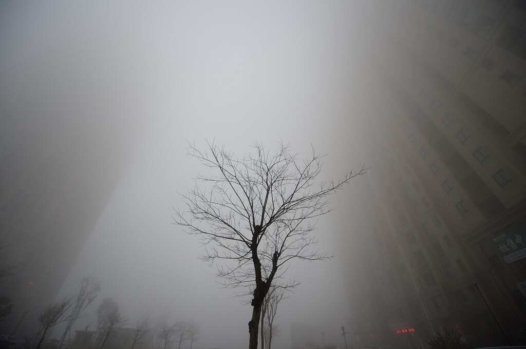 Air pollution is a problem the world over, with 99% of people breathing air that exceed World Health Organization's safety guidelines.