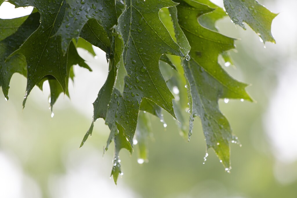 "The natural world is the perfect circular economy"