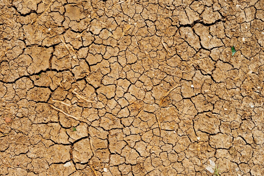 Dry land from drought.