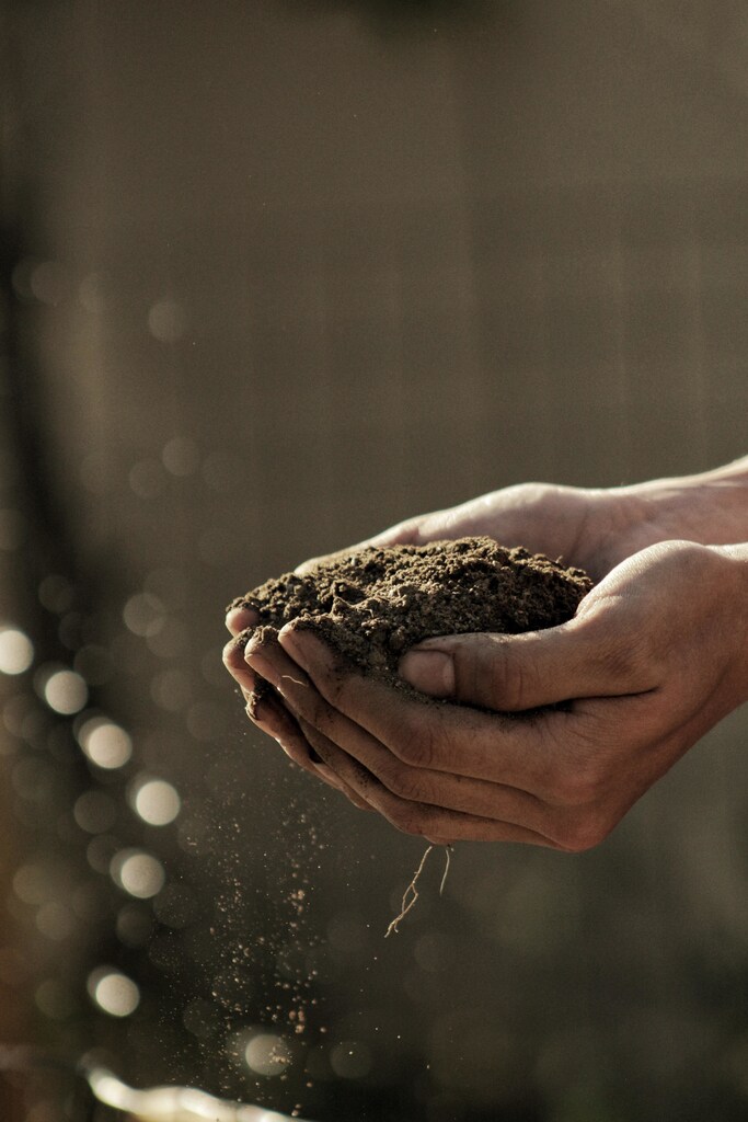 A person holding soil in their hands.