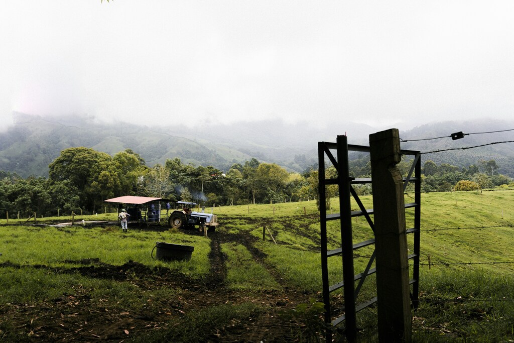 Organizations — both within and beyond the food system — should reflect on how they might help create resilient future food system