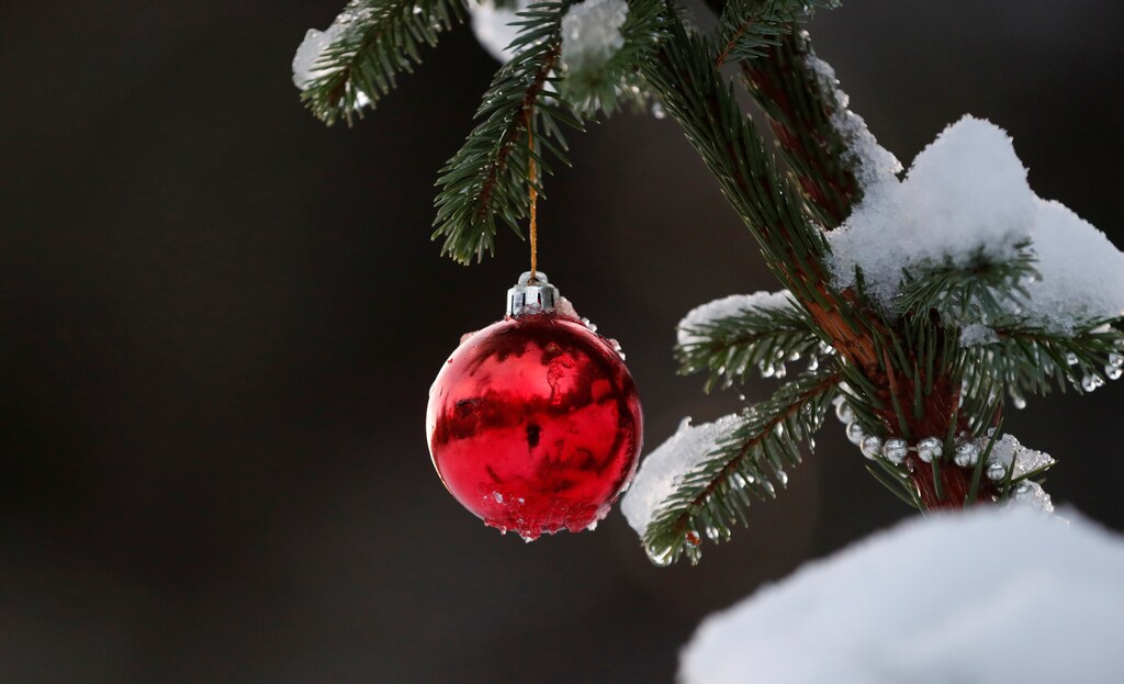 A Christmas decoration hangs from a tree in a forest near Birnam, Scotland, Britain, December 16, 2018. REUTERS/Russell Cheyne - RC1276984320