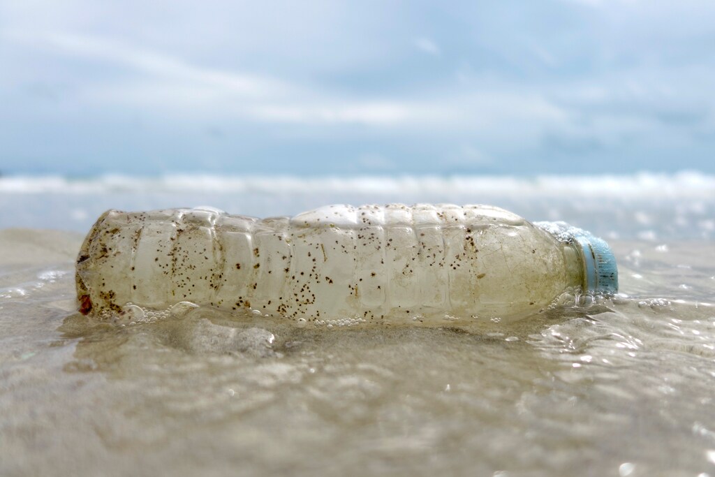 A plastic bottle washed up by the sea is seen at the Ao Phrao Beach, on the island of Ko Samet, Thailand June 10, 2018. REUTERS/Jorge Silva - RC15F1A7F000