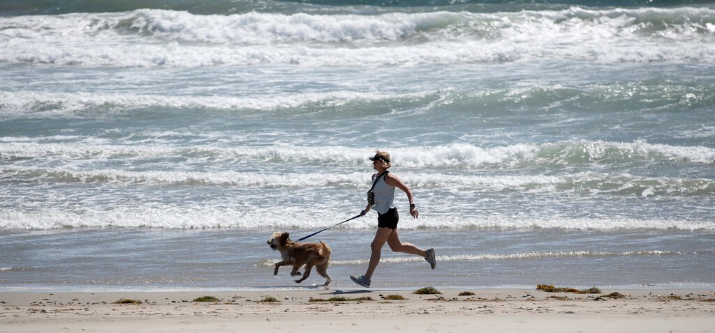 A woman jogs with her dog on Zuma Beach during the outbreak of the coronavirus disease (COVID-19) in Malibu, California