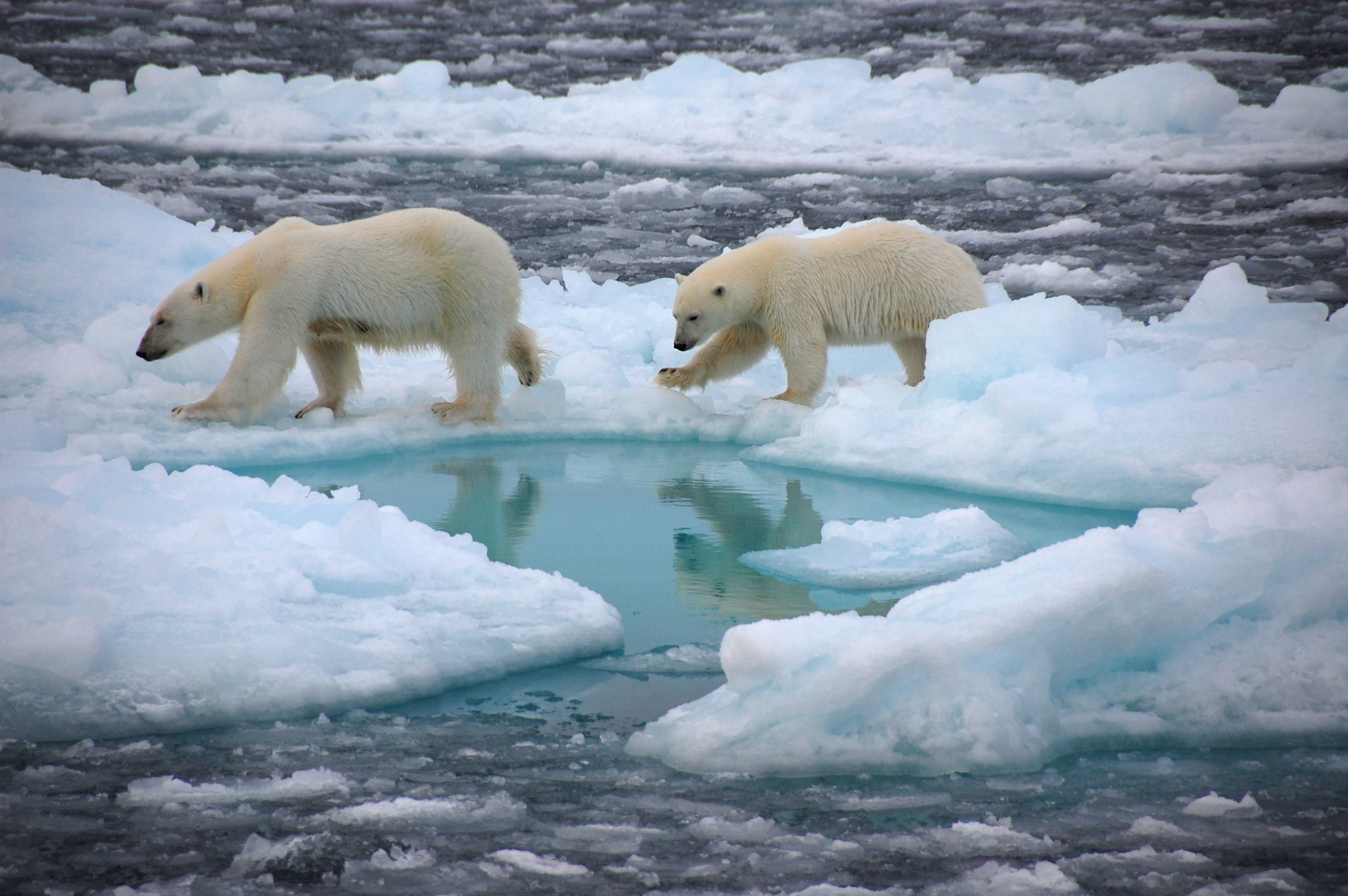 coronavirus news stories scientists research global warming climate change arctic ocean ice summer USA megadrought extreme weather physics japan space universe