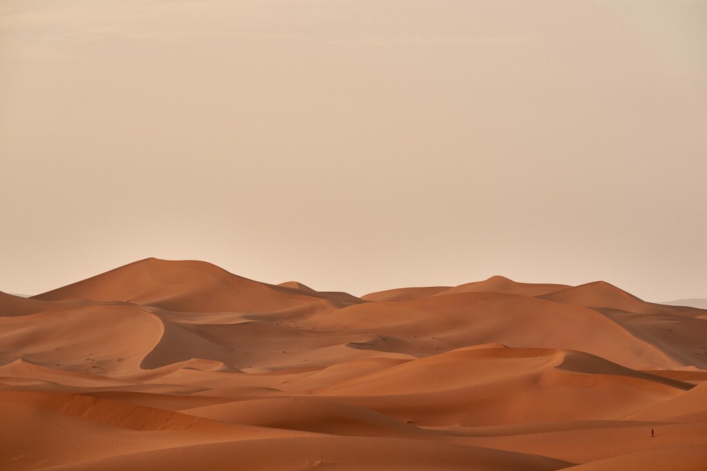 Shown here are some sand dunes.