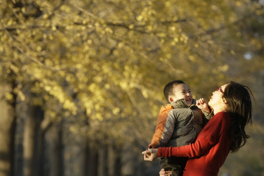 A child plays with his mother amongst ginkgo trees, outside Beijing's Diaoyutai Guest House on an early winter day, November 16, 2008. REUTERS/Jason Lee (CHINA) - RTXANE4