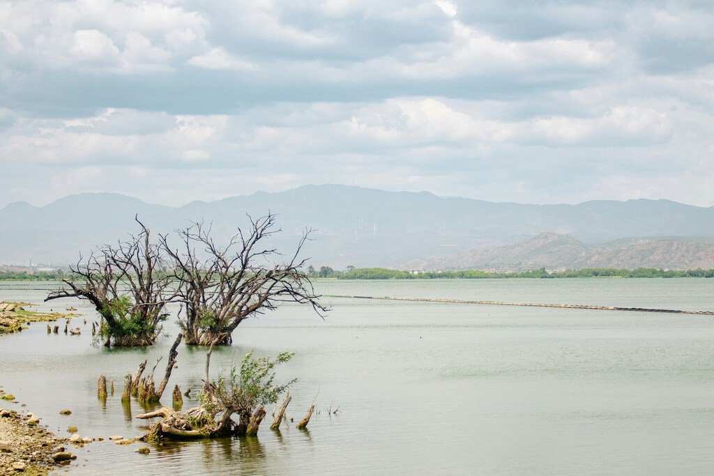 Companies must build climate resilience to protect against increasing hazards.