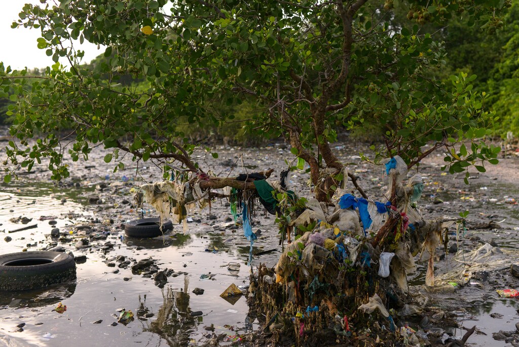 Plastic trash, including sachets of various products, are stuck between mangroves in Freedom Island, Paranaque City, Metro Manila, Philippines August 20, 2019. Picture taken August 20, 2019