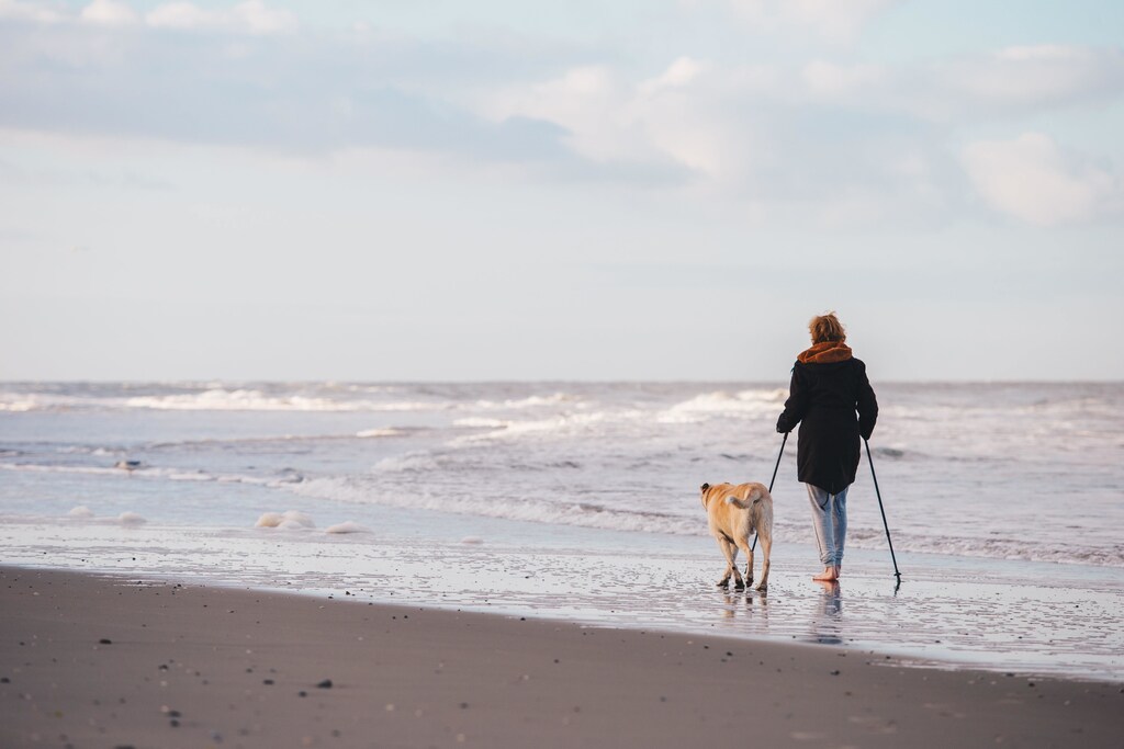 A person Nordic walking on a beach