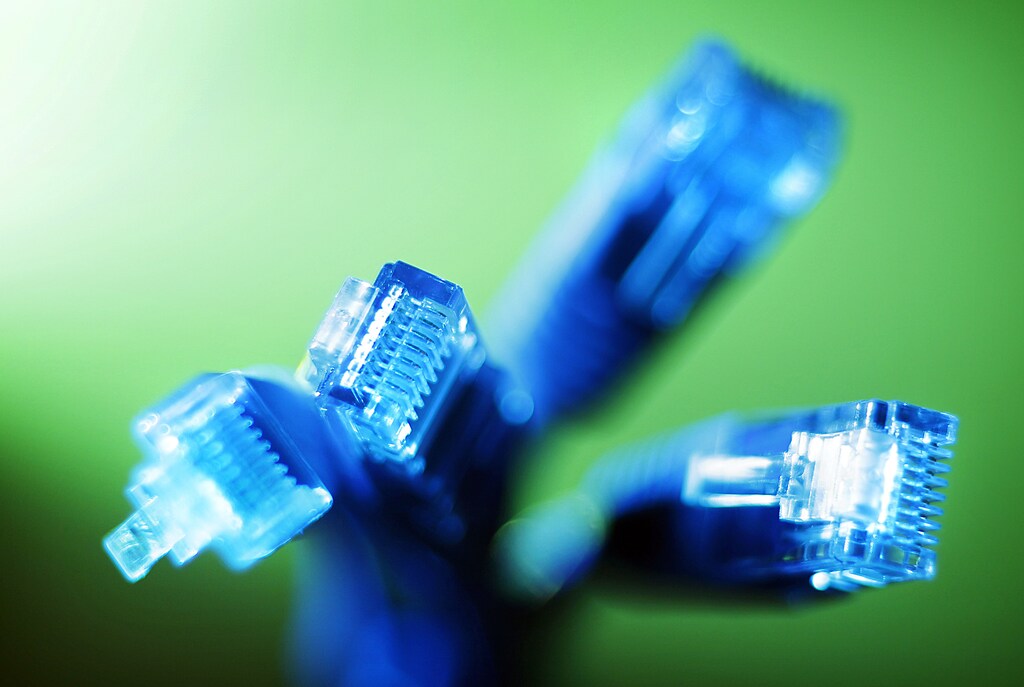 Internet LAN cables are pictured in this photo illustration taken in Sydney June 23, 2011. Australia cleared a key hurdle on Thursday in setting up a $38 billion high-speed broadband system after phone operator Telstra agreed to rent out its network for the nation's biggest infrastructure project in decades. REUTERS/Tim Wimborne (AUSTRALIA - Tags: BUSINESS POLITICS) - GM1E76N141M01