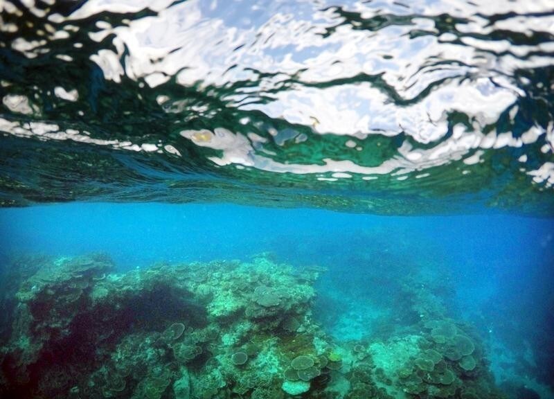 A wave breaks above a coral escarpement in an area called the 'Coral Gardens' located at Lady Elliot Island and 80 kilometers north-east from the town of Bundaberg in Queensland, Australia, June 10, 2015. UNESCO World Heritage delegates recently snorkeled on Australia's Great Barrier Reef, thousands of coral reefs, which stretch over 2,000 km off the northeast coast. Surrounded by manta rays, dolphins and reef sharks, their mission was to check the health of the world's largest living ecosystem, which brings in billions of dollars a year in tourism. Some coral has been badly damaged and animal species, including dugong and large green turtles, are threatened. UNESCO will say on Wednesday whether it will place the reef on a list of endangered World Heritage sites, a move the Australian government wants to avoid at all costs, having lobbied hard overseas. Earlier this year, UNESCO said the reef's outlook was "poor". Picture taken June 10, 2015. REUTERS/David Gray - GF10000144611