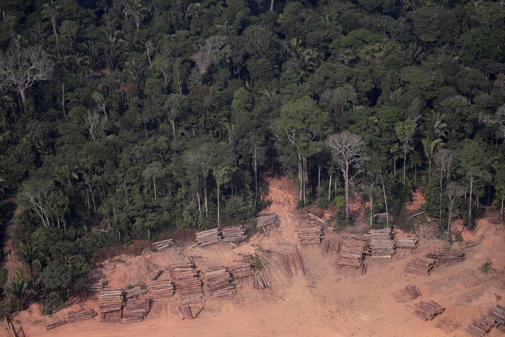 An aerial view of logs illegally cut from Amazon rainforest are seen in sawmills near Humaita, Amazonas State, Brazil August 22, 2019. REUTERS/Ueslei Marcelino - RC1B4AADB7D0