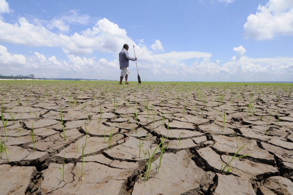 A Brazilian crosses the muddy bottom of the Rio Negro, a major tributary to the Amazon river, in the city of Manaus, October 26, 2010. A severe drought has pushed river levels in Brazil's Amazon region to record lows, leaving isolated communities dependent on emergency aid and thousands of boats stranded on parched riverbeds. REUTERS/Euzivaldo Queiroz/A Critica (BRAZIL - Tags: DISASTER ENVIRONMENT IMAGES OF THE DAY) - GM1E6AR0IZQ01