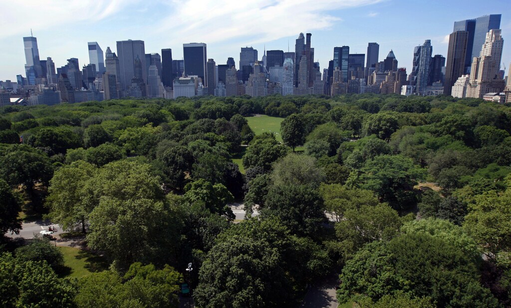 A view of the New York skyline with buildings along Central Park South, as seen from the AeroBalloon ride flying above New York's Central Park on the opening day of rides open to the public, July 25, 2008. Picture taken July 25, 2008. REUTERS/Mike Segar/File Photo - TM3EC7L15FK01