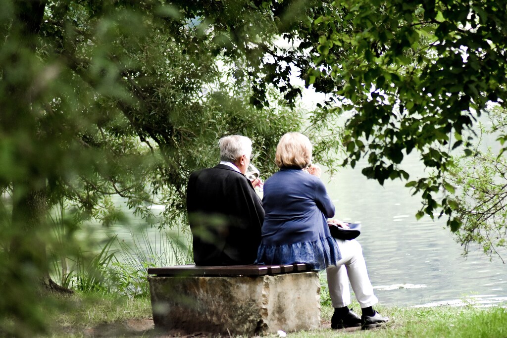 shown here is an elderly couple. Europe's population is maturing and better measures are therefore needed to support the ageing population.
