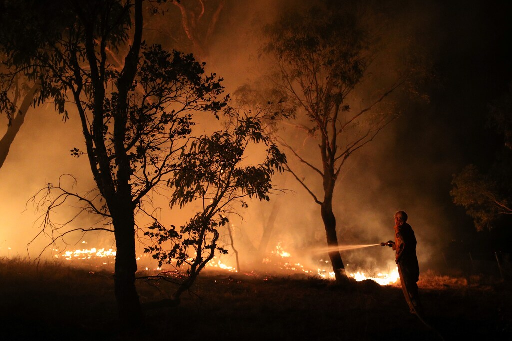 A firefighter from a local brigade works to extinguish flames after a bushfire burnt through the area in Bredbo, New South Wales, Australia, February 2, 2020. REUTERS/Loren Elliott - RC2TRE9470BT