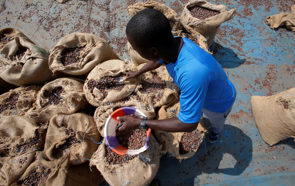 A man prepares sacks of cocoa beans to be sealed in Soubre, Ivory Coast July 19, 2018. Picture taken July 19, 2018. REUTERS/Thierry Gouegnon - RC187285D100