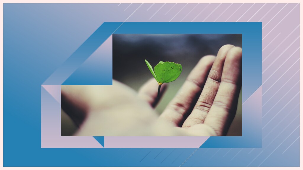 How can a company's purpose contribute to sustainable growth?