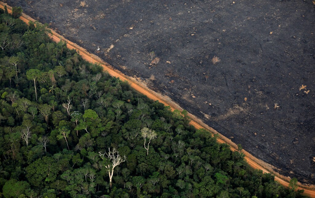 An aerial view shows a deforested plot of the Amazon near Porto Velho, Rondonia State, Brazil, September 17, 2019. REUTERS/Bruno Kelly - RC1F2C81E680