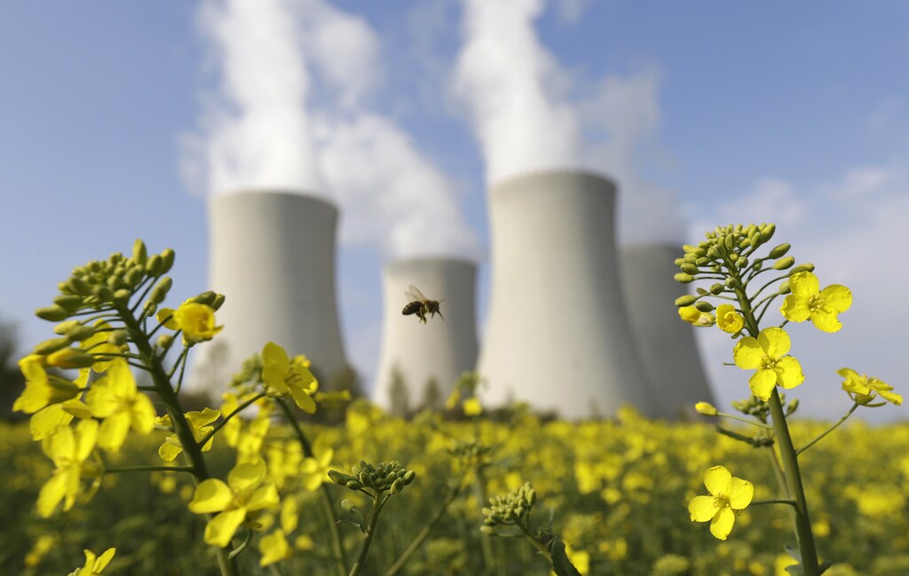 nuclea japan environment renewable solar energy change transition friendly environment carbon footprint carbon emissions reduction change natural climate change global warming air pollution clean energy power renewables plastic plastics Weather extreme storm hurricane typhoon flooding flood floods danger rain wind windy rainy flash floods Agriculture pollen insects bugs bees honeybees bumblebees farming farms crops crop stable A bee flies to collect pollen on a mustard field in front of the cooling towers of the Temelin nuclear power plant near the South Bohemian city of Tyn nad Vltavou April 12, 2014. The Czech Republic wants to continue expanding nuclear energy capacity despite cancelling a tender to build two new units and believes the European Union should be more supportive of atomic power, Industry Minister Jan Mladek said April 14, 2014. Majority state-owned CEZ cancelled a tender last week to build two new 1,200 MW units at the Temelin nuclear power station. The move followed a sharp fall in European power prices, and the government's denial of price guarantees had made the $10-15 billion project uneconomical. In an interview, Mladek suggested that the best hope for the future expansion of nuclear power would be a shift in EU policy away from priority support for renewable energy towards more backing for the nuclear option. To match story CZECH-NUCLEAR/ Picture taken April 12, 2014. REUTERS/David W Cerny (CZECH REPUBLIC - Tags: BUSINESS POLITICS ENERGY ENVIRONMENT ANIMALS) - GM1EA4E1UF001