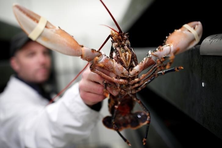 A worker holds a blue lobster at the fish pavilion in the Rungis International wholesale food market as buyers prepare for the Christmas holiday season in Rungis, south of Paris, France, December 6, 2017. Picture taken December 6, 2017. REUTERS/Benoit Tessier