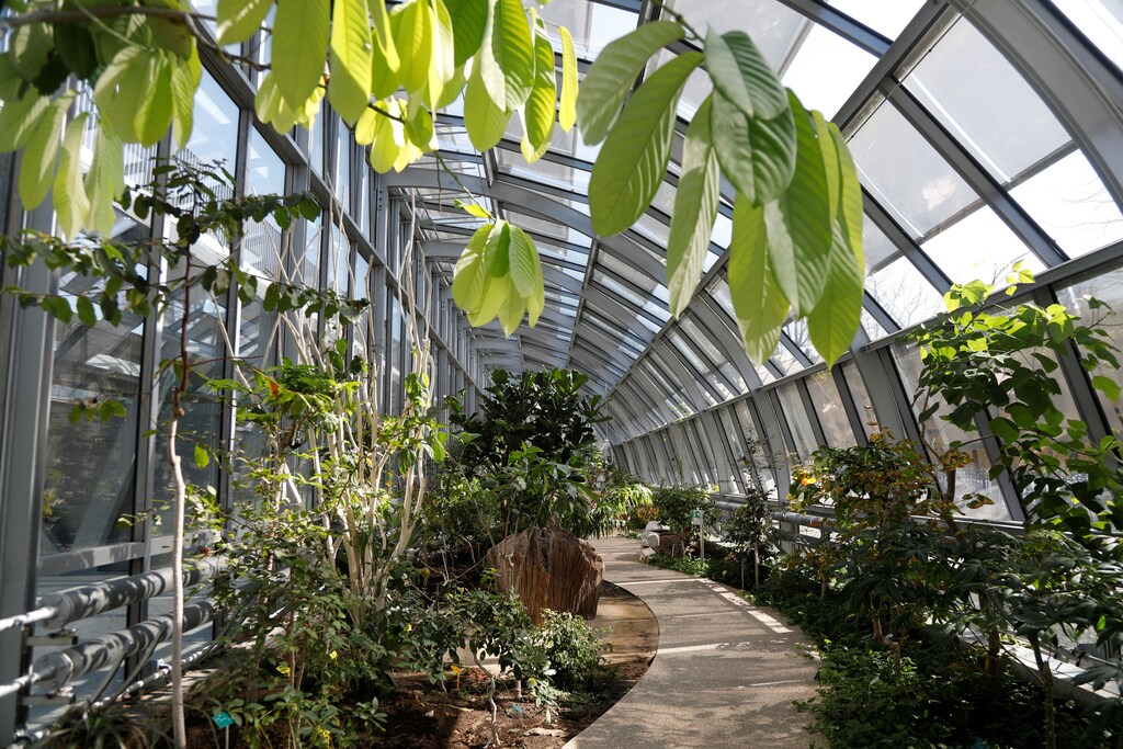 Greenhouses are seen around the new tennis court Simonne Mathieu by architect Marc Mimram during its opening ceremony at Roland Garros tennis stadium in Paris, France, March 21, 2019. REUTERS/Charles Platiau - RC1B9E8F85B0