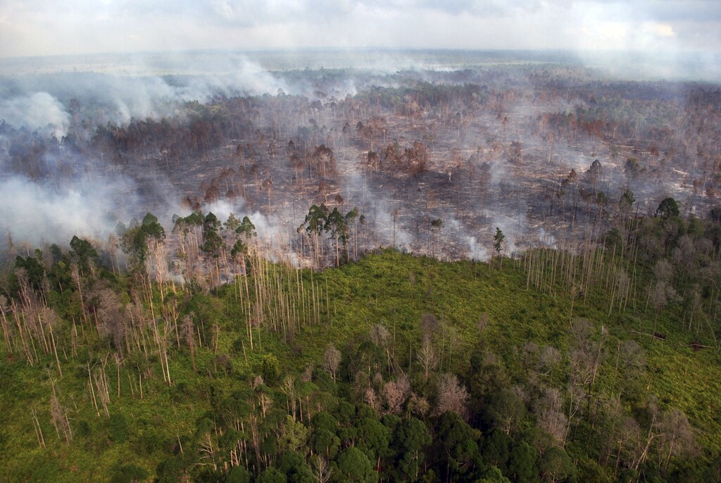 An aerial view of a forest fire burning near the village of Bokor, Meranti Islands regency, Riau province, Indonesia in this March 15, 2016 file photo taken by Antara Foto.