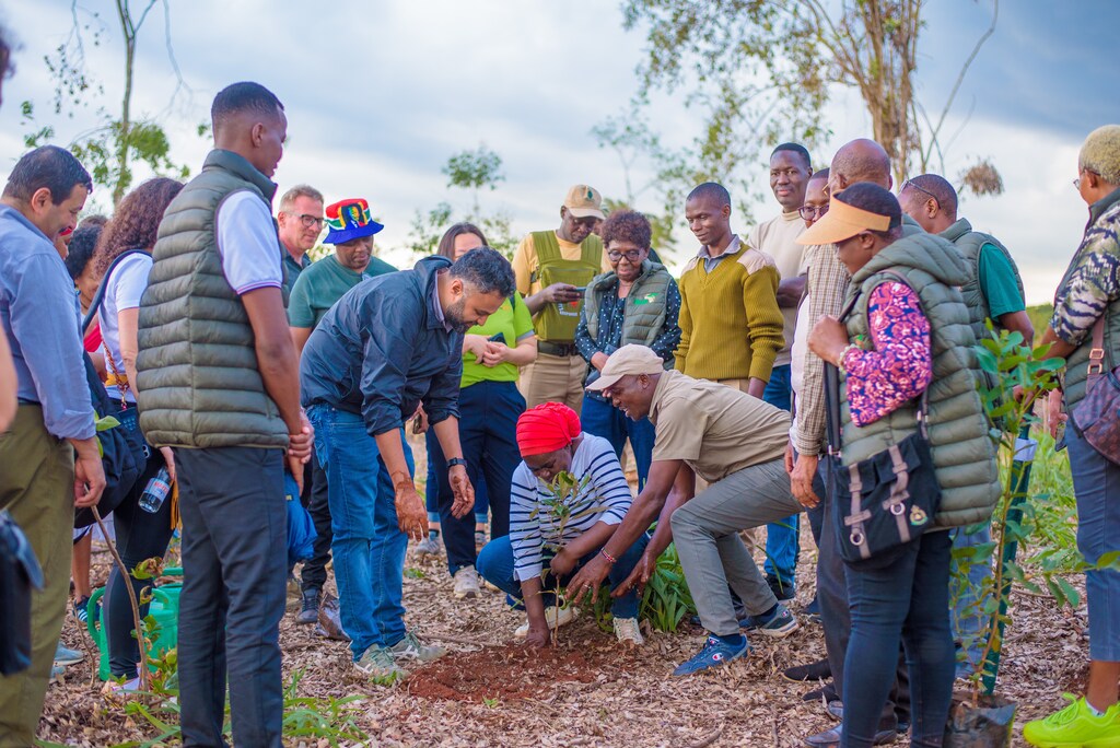 A group of social entrepreneurs are seen planting a plant.